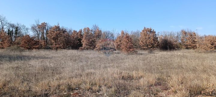 Terreno In vendita - Istarska Svetvinčenat - foto 3/5