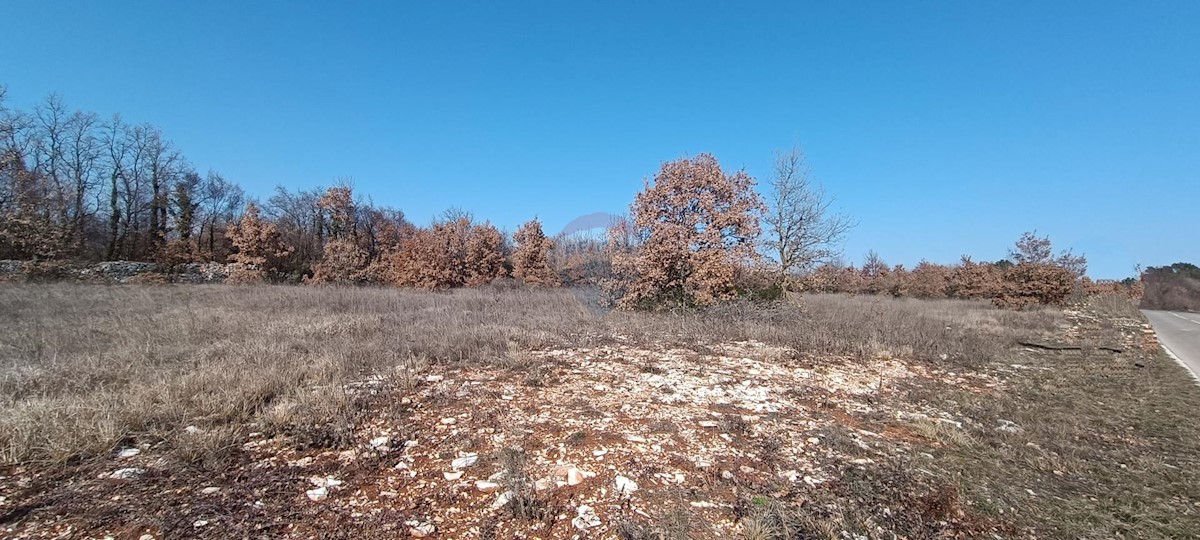 Pozemok Na predaj - ISTARSKA  SVETVINČENAT 