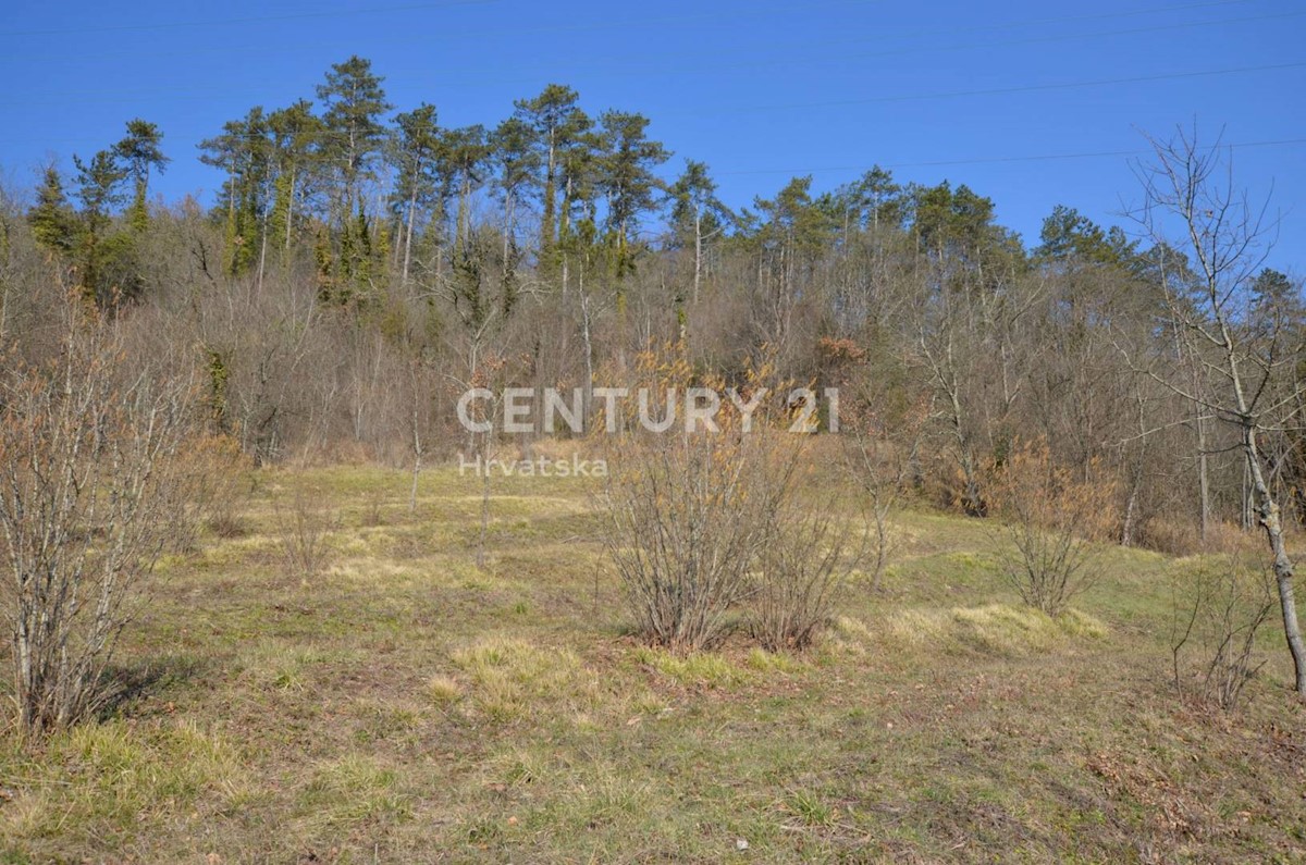 Terreno In vendita - ISTARSKA  OPRTALJ 