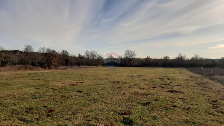 Pozemok na predaj 3980 m² – Bale