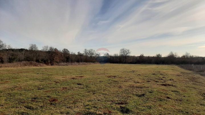 Pozemok na predaj 5860 m² – Bale