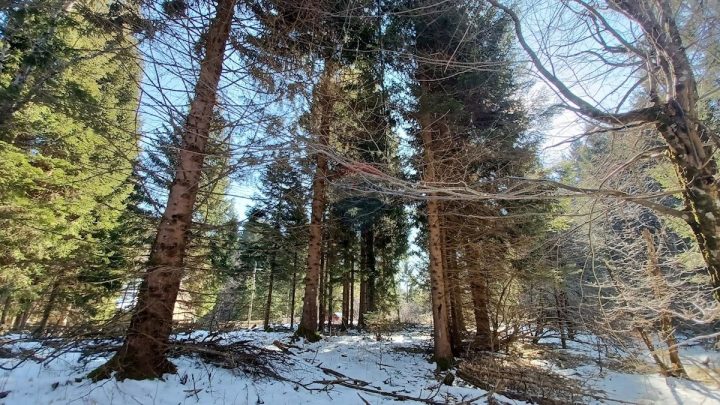 Zemljište Na prodaju - Karlovačka Ogulin - foto 3/6