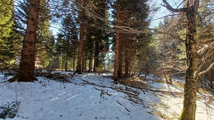 Zemljište Na prodaju - Karlovačka Ogulin - foto 4/6