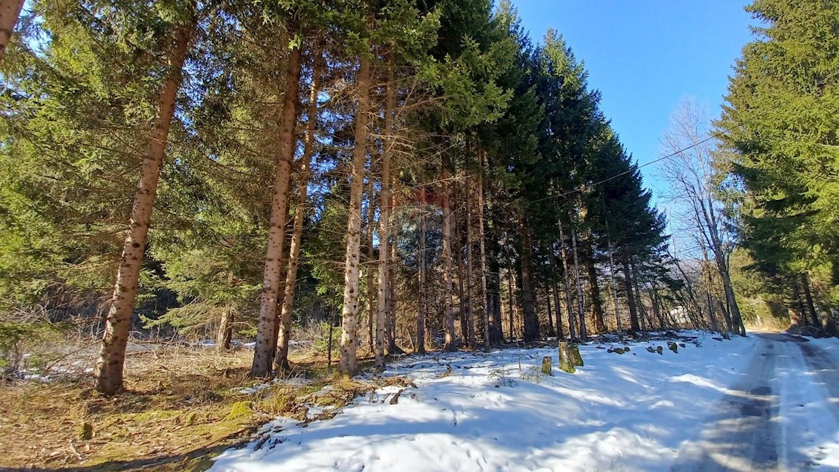 Zemljište Na prodaju - KARLOVAČKA  OGULIN 