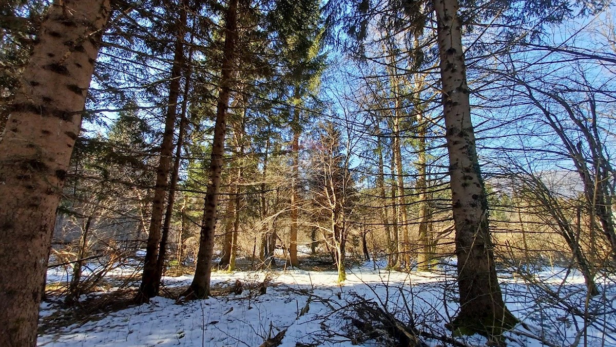 Zemljište Na prodaju - KARLOVAČKA  OGULIN 