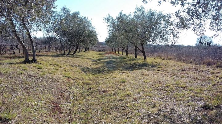 Grundstück Zu verkaufen - Istarska Umag - foto 2/2
