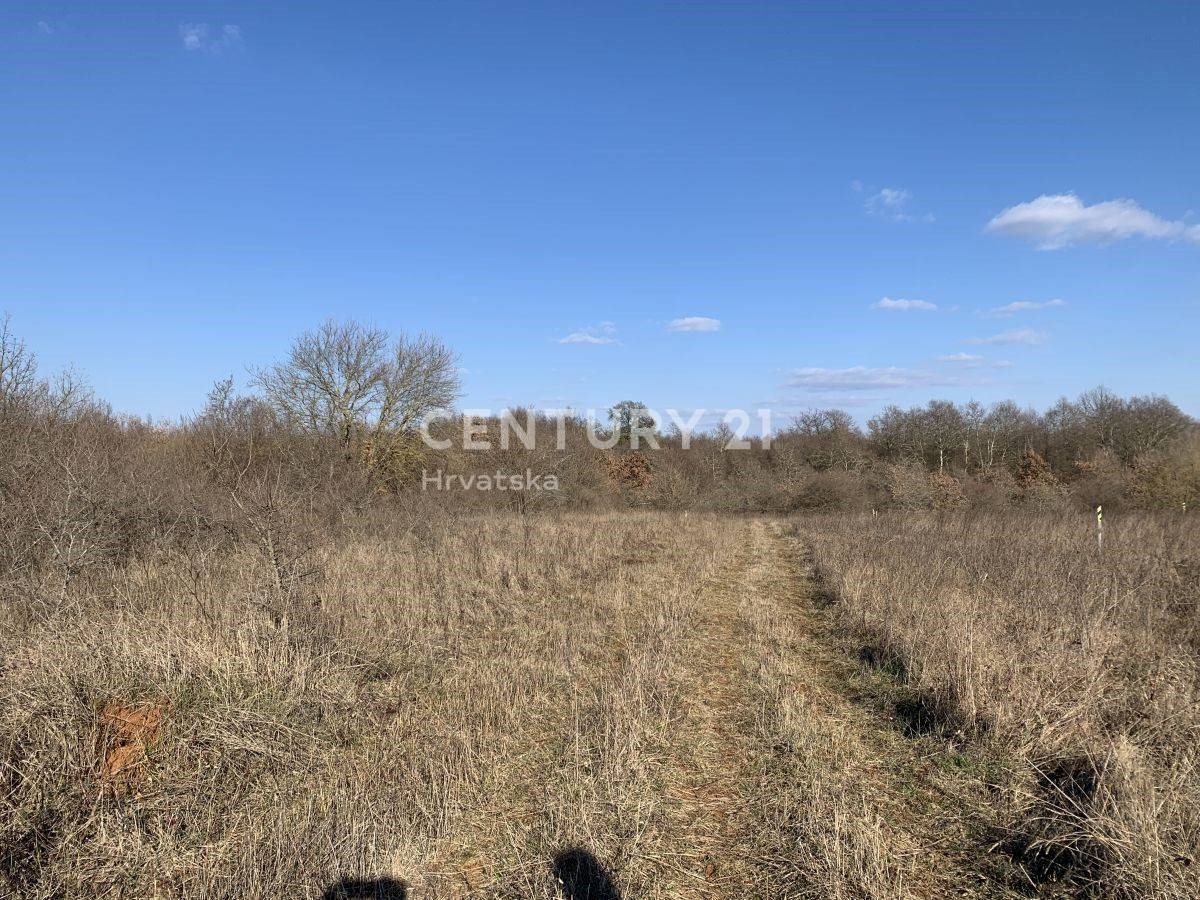 Land For sale - ISTARSKA  POREČ 