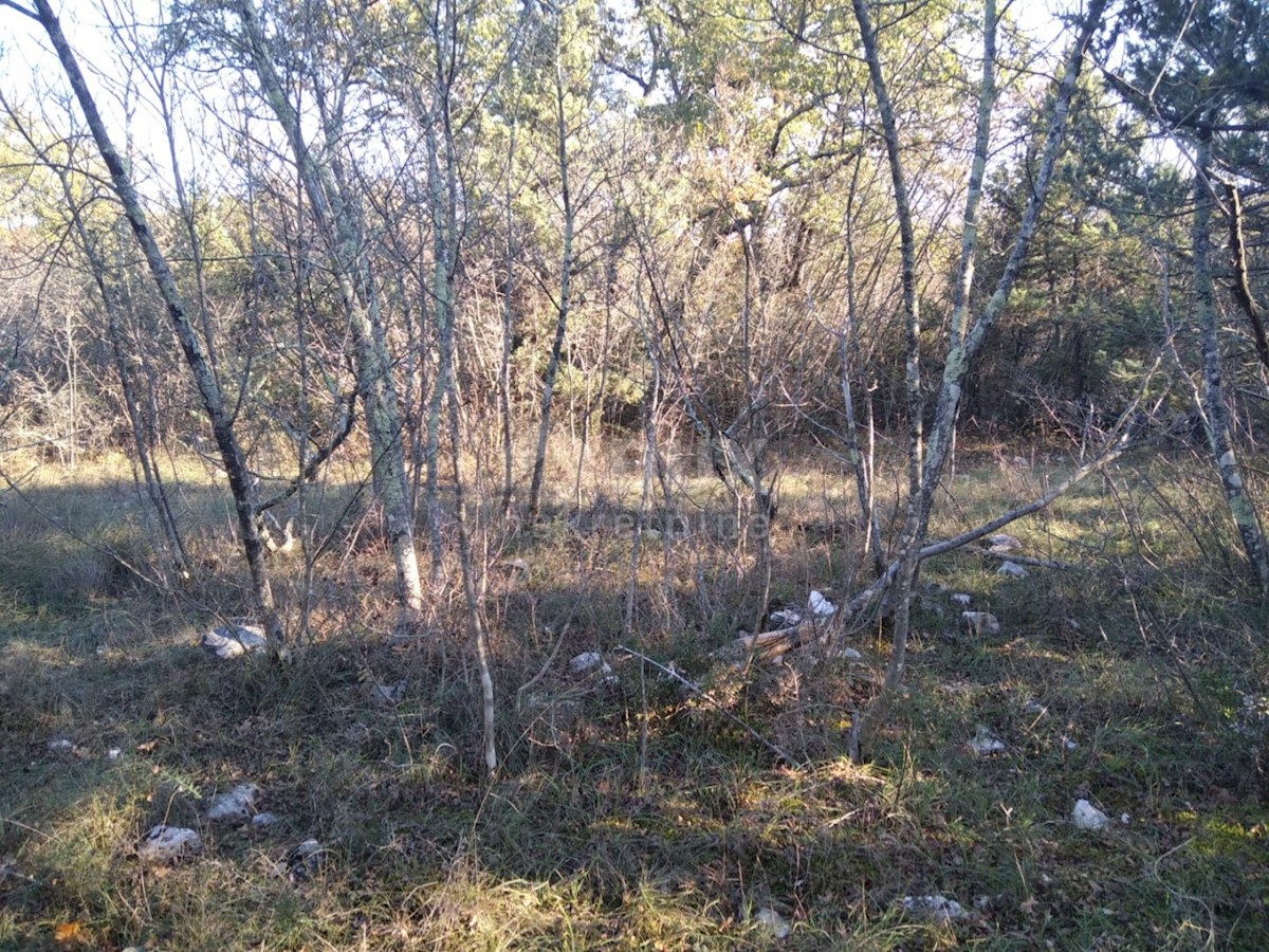 Land For sale - PRIMORSKO-GORANSKA  KRK 