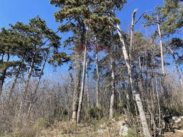 Działka Na sprzedaż - Primorsko-goranska Opatija - foto 2/5