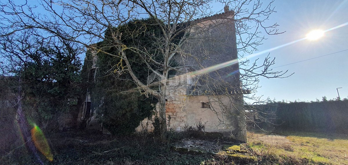 Haus Zu verkaufen - ISTARSKA TINJAN