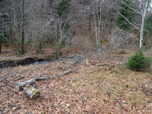Grundstück Zu verkaufen - Primorsko-goranska Fužine - foto 5/7