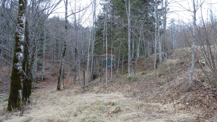 Pozemek na prodej 9213 m² – Ravna Gora