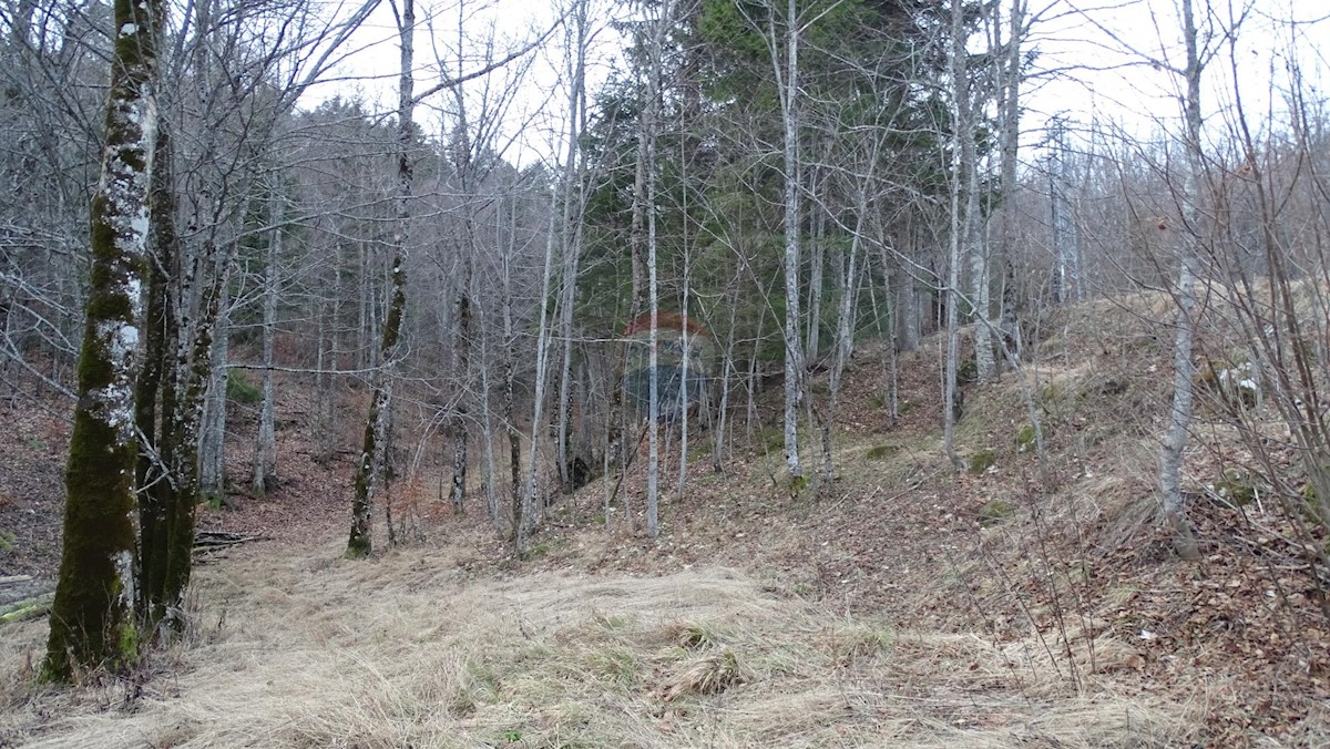 Pozemek Na prodej - Primorsko-goranska Ravna Gora - foto 1/1