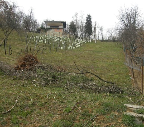 Pozemok Na predaj - Zagrebačka Samobor - foto 3/3