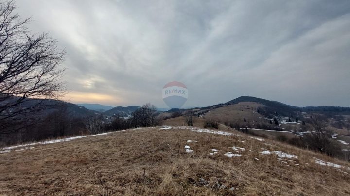 Land for sale 15000 m² – Begovo Razdolje