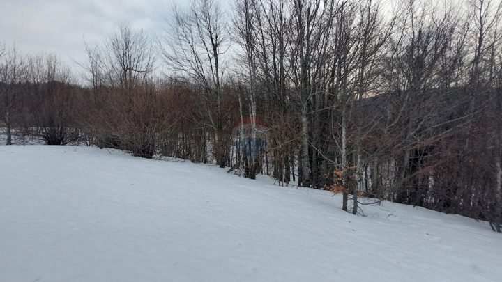 Parcela Naprodaj - Primorsko-goranska Mrkopalj - foto 4/9