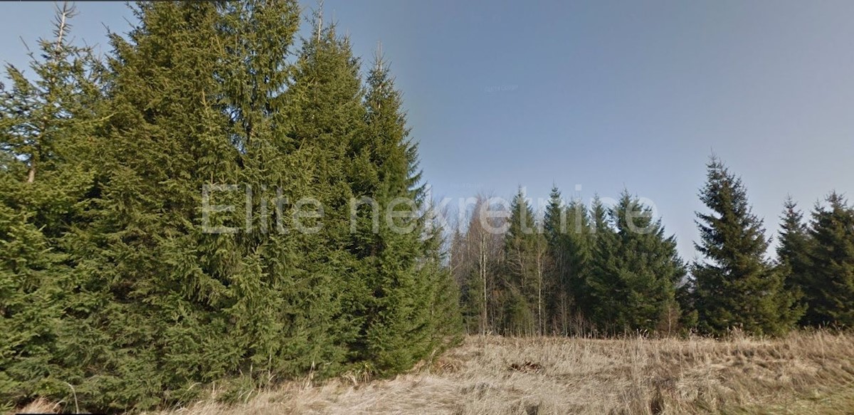 Land For sale - PRIMORSKO-GORANSKA  RAVNA GORA 