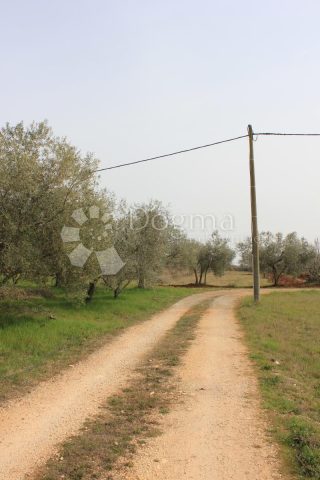 Grundstück Zu verkaufen - Istarska Vodnjan - foto 3/8