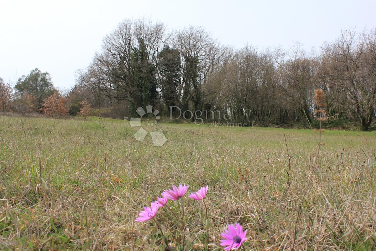 Land For sale - ISTARSKA  VODNJAN 