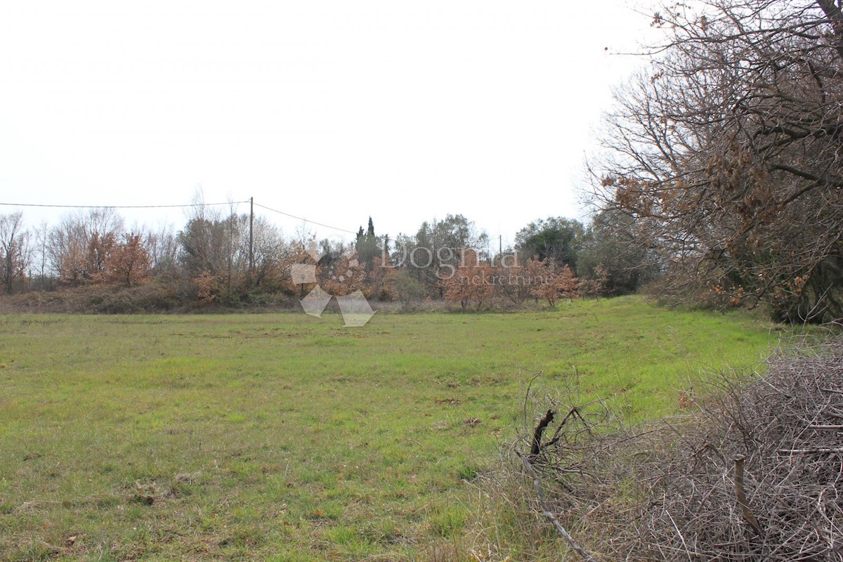 Land For sale - ISTARSKA  VODNJAN 