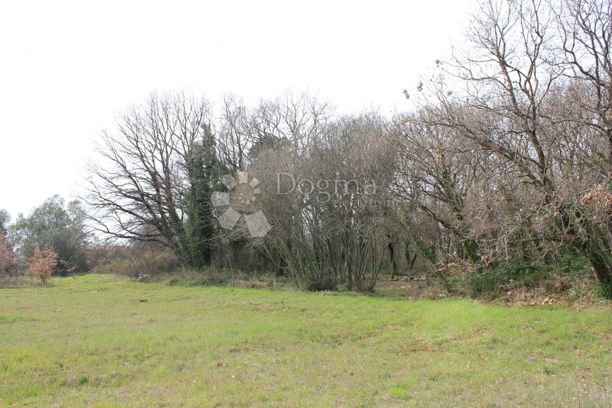 Land For sale - ISTARSKA  VODNJAN 