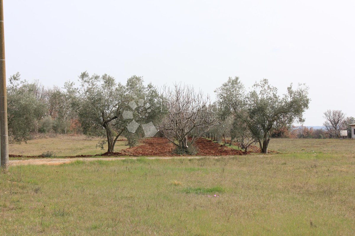 Land For sale - ISTARSKA  VODNJAN 