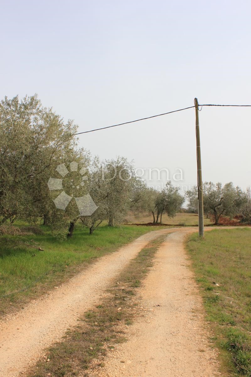 Land For sale - ISTARSKA  VODNJAN 