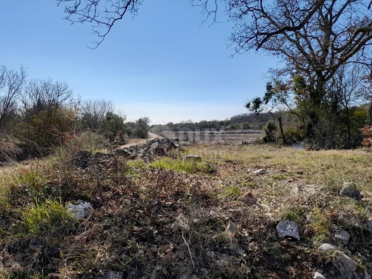 Land For sale - ISTARSKA  ROVINJ 