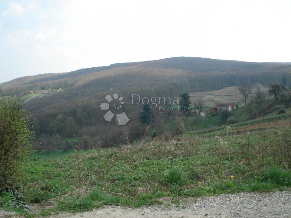 Grundstück Zu verkaufen - Varaždinska Gornji Kneginec - foto 2/6