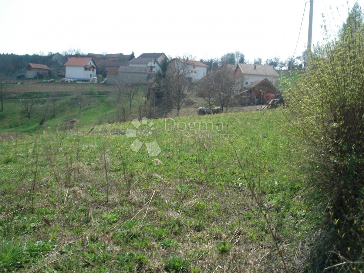 Grundstück Zu verkaufen - Varaždinska Gornji Kneginec - foto 4/6