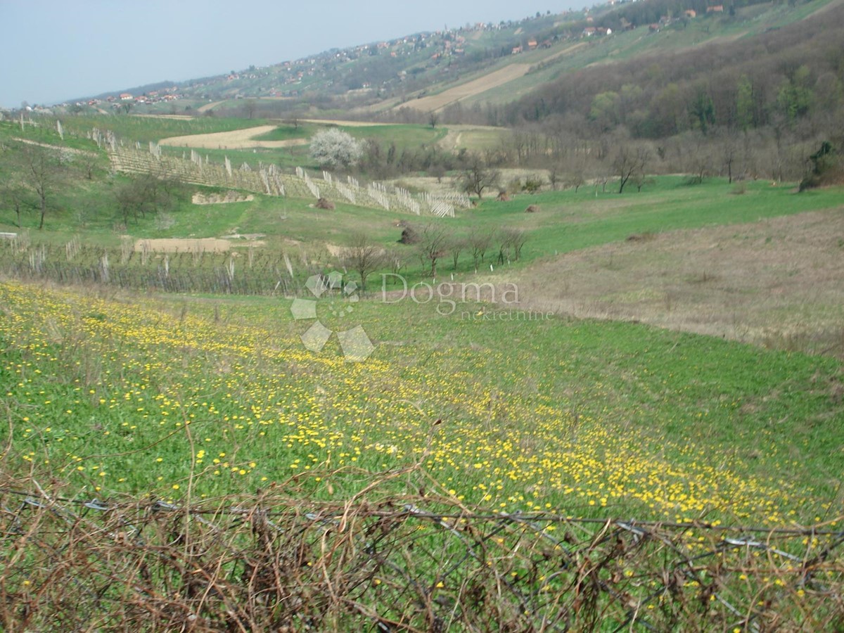 Grundstück Zu verkaufen - Varaždinska Gornji Kneginec - foto 5/6