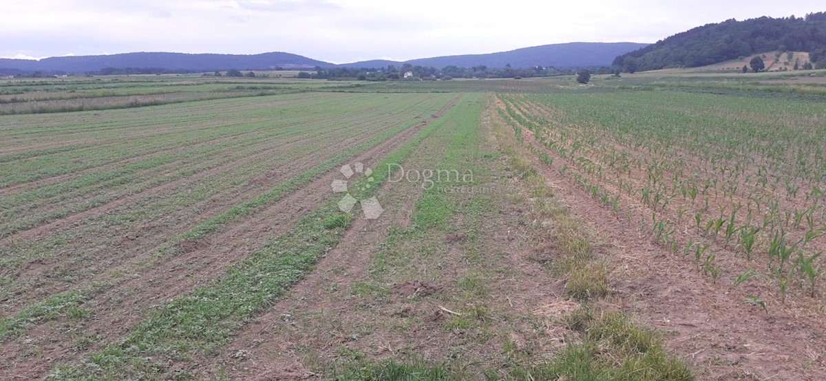 Land For sale - KARLOVAČKA  OGULIN 