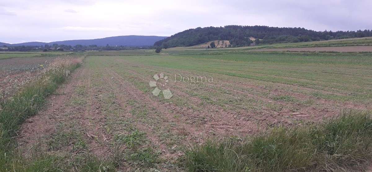 Land For sale - KARLOVAČKA  OGULIN 