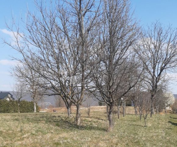 Parcela Naprodaj - Karlovačka Ogulin - foto 3/3