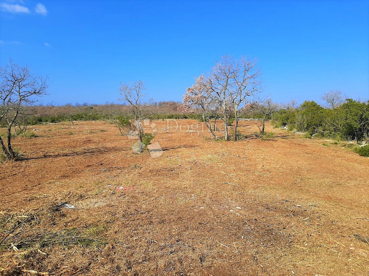 Terreno In vendita - ISTARSKA  VODNJAN 