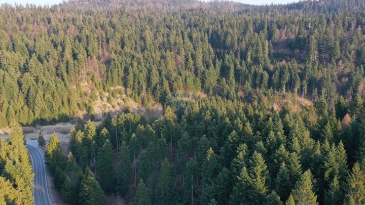 Land For sale CRNI LUG