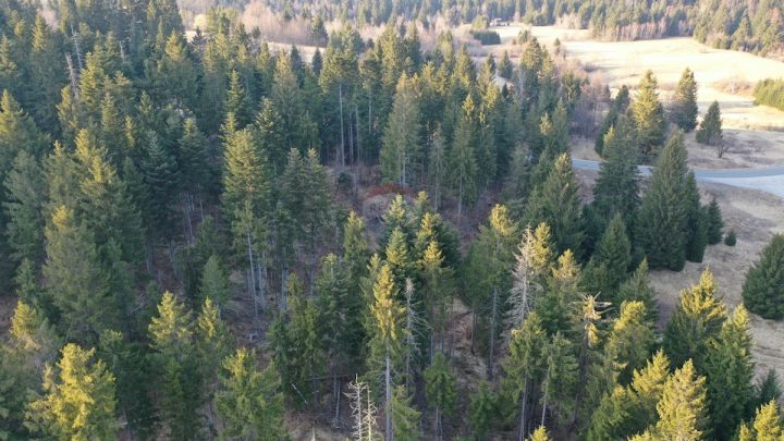Terreno In vendita - Primorsko-goranska Delnice - foto 4/11