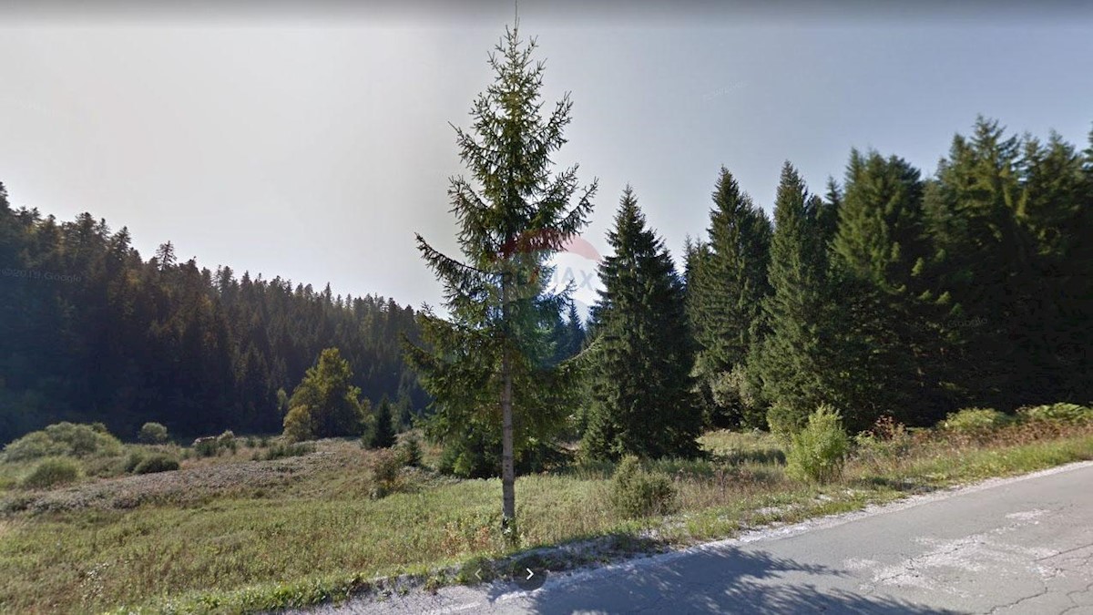 Land For sale - PRIMORSKO-GORANSKA  DELNICE 