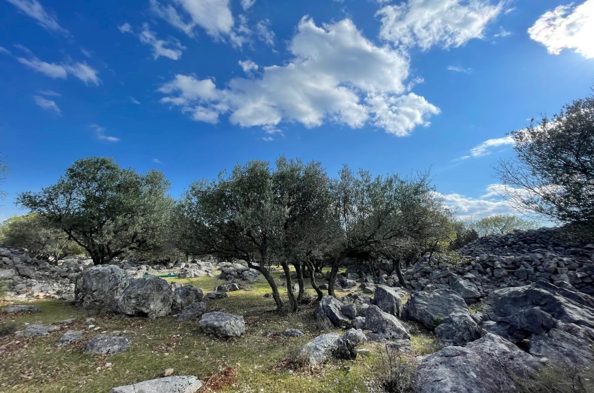 Land For sale - PRIMORSKO-GORANSKA  KRK 