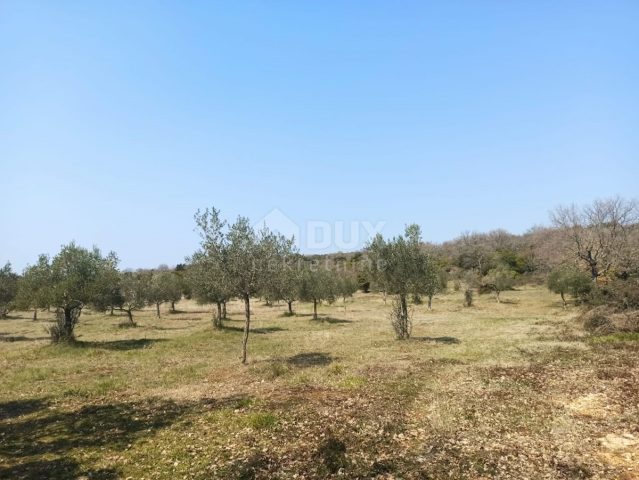 Pozemok na predaj 15475 m² – Rovinj