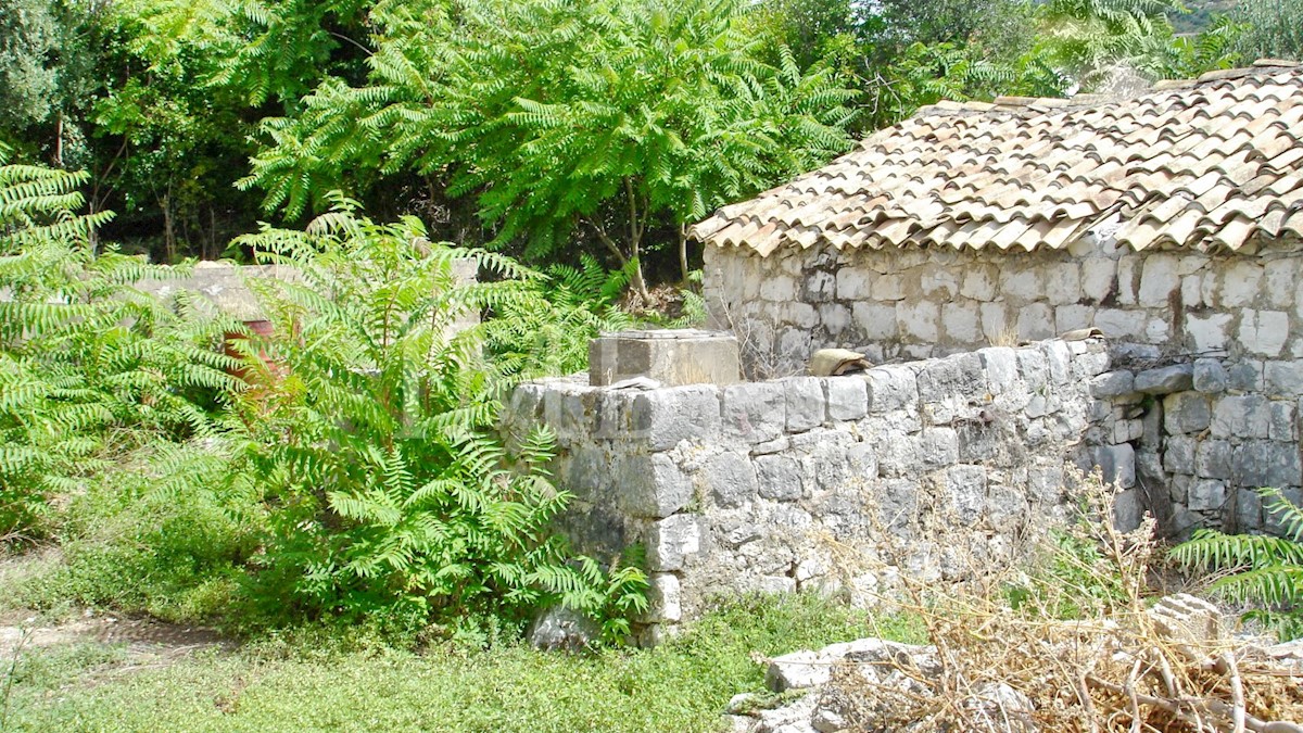 Haus Zu verkaufen - DUBROVAČKO-NERETVANSKA  DUBROVNIK 