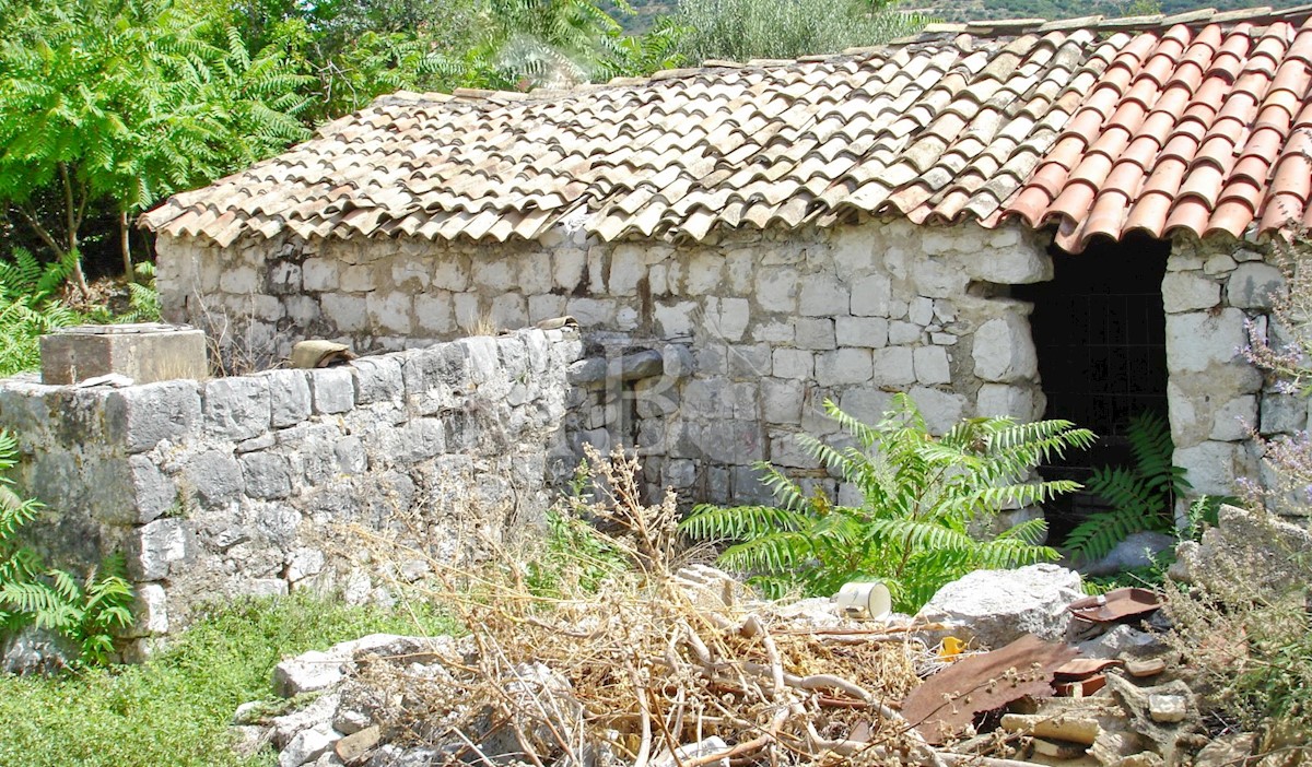 Haus Zu verkaufen - DUBROVAČKO-NERETVANSKA  DUBROVNIK 