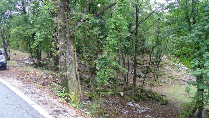 Zemljište na prodaju 2022 m² – Veprinac