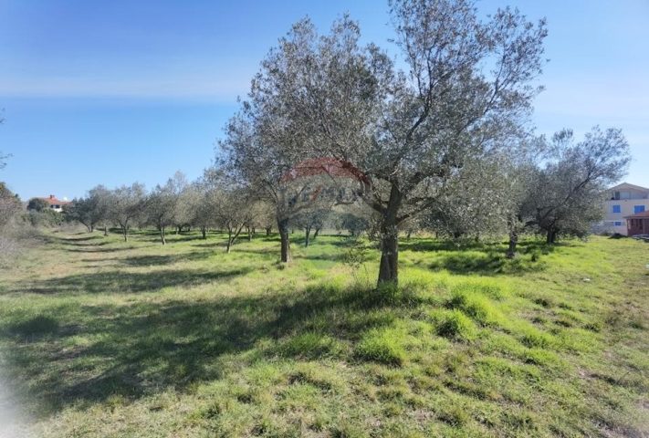 Zemljište na prodaju 3622 m² – Galižana