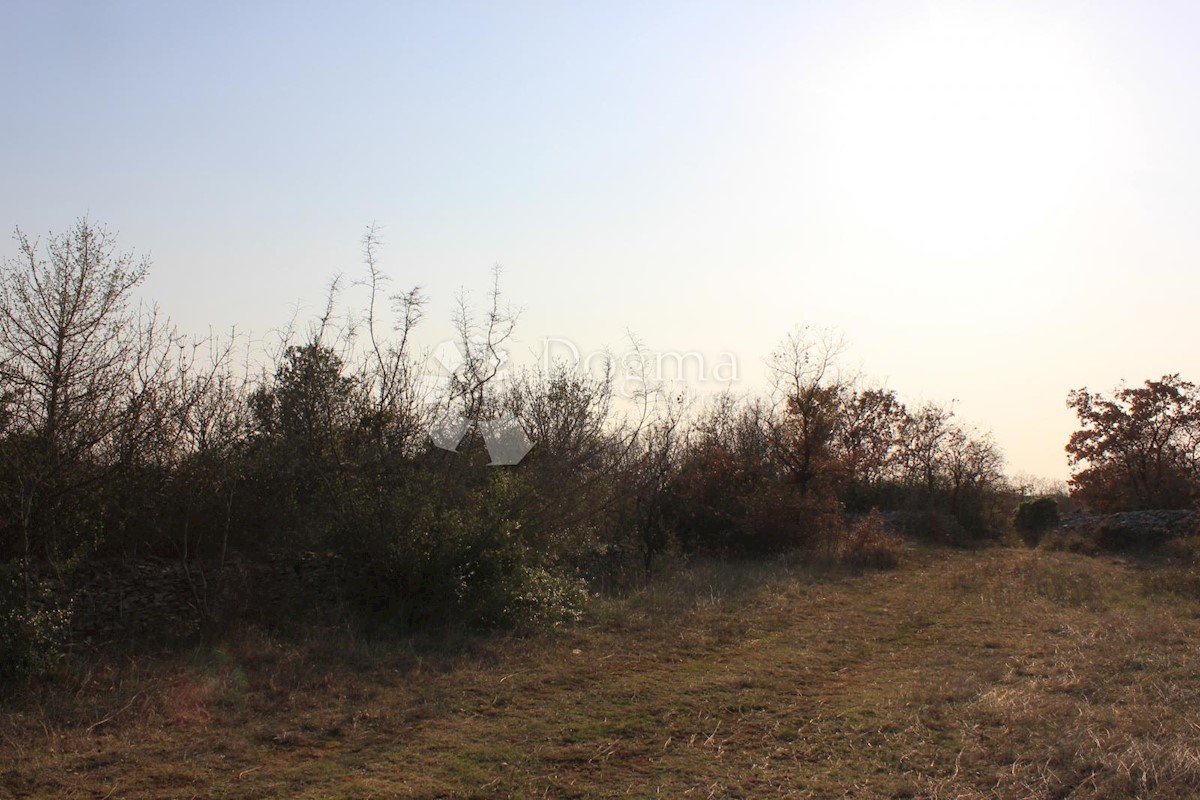 Terreno In vendita - ISTARSKA  VODNJAN 