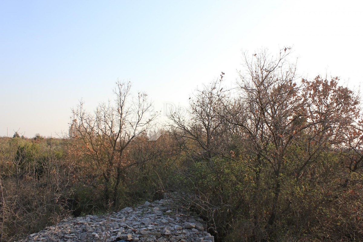 Terreno In vendita - ISTARSKA  VODNJAN 