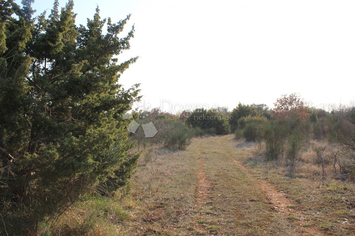 Terreno In vendita - ISTARSKA  VODNJAN 