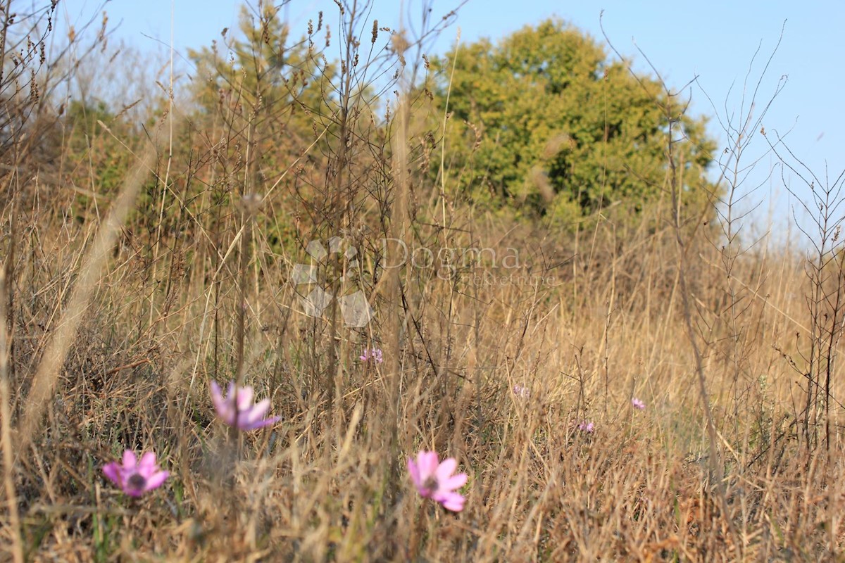 Terreno In vendita - ISTARSKA  VODNJAN 