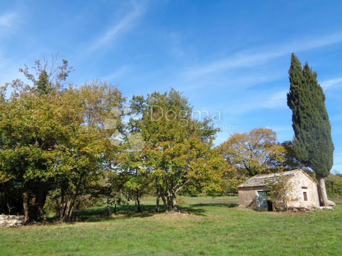 Terreno In vendita - ISTARSKA  ŽMINJ 