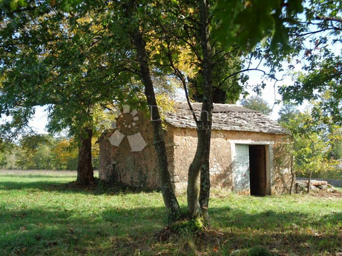 Parcela Na predaj - ISTARSKA  ŽMINJ 